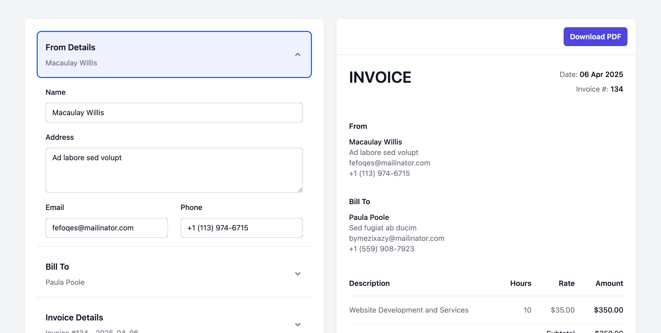 Invoice Preview